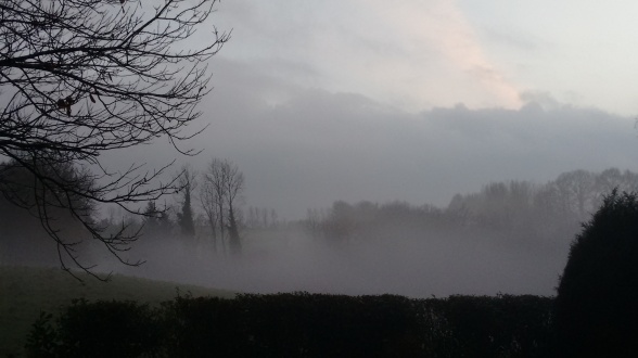 Misty vista